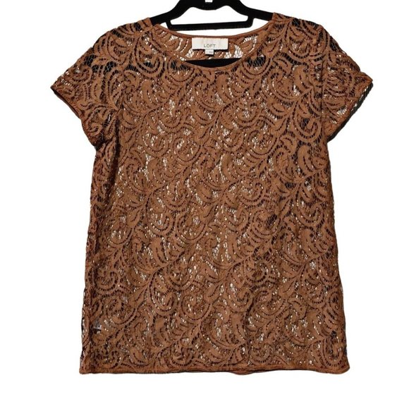 Ann Taylor Loft Burnt Orange Lace Top - Picture 1 of 5